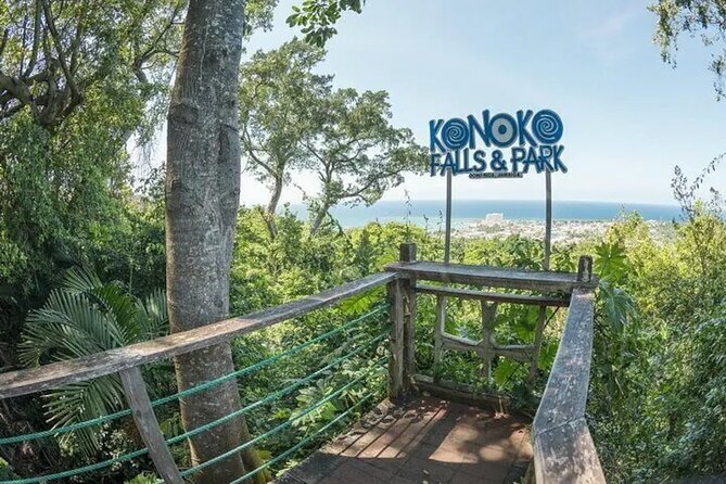 Eco Explorers Waterfall, Rainforest, local Shopping with lunch - Who should book this Ocho Rios outing?