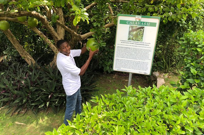 Explore Montego Bay Jamaica Private Tour to Green Gratto Cave - Lunch and souvenir time are optional, not included