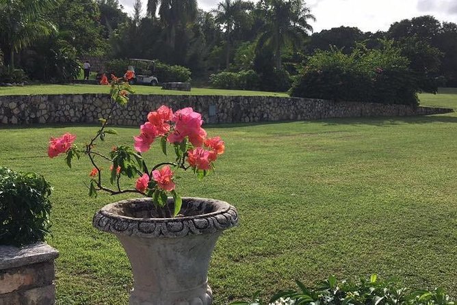 Explore Montego Bay Jamaica Rose Hall Great House Day/Night Tour - The personal service is part of the appeal