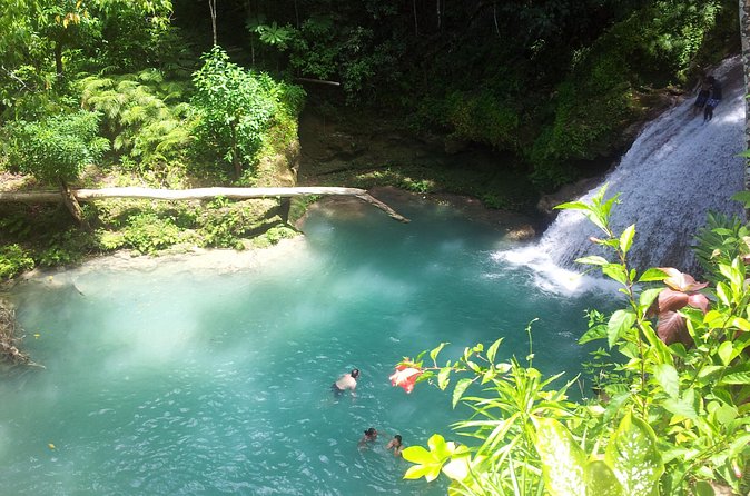 Falmouth Dunns River Falls and Blue Hole Excursion - Timing, price, and cruise-day risks