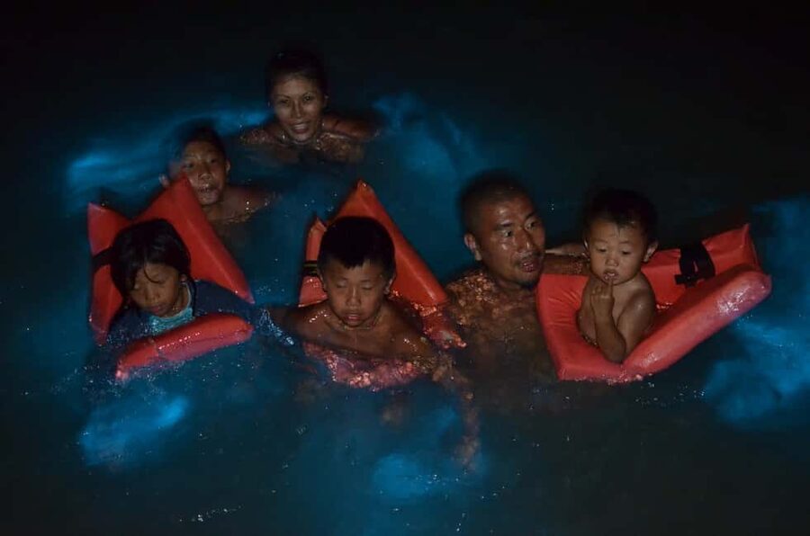 Falmouth: Luminous Lagoon Boat Tour - What the $25 Price Really Covers