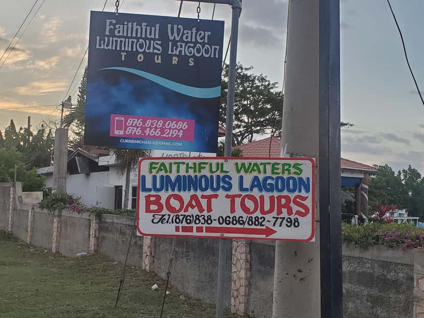 Falmouth: Luminous Lagoon Boat Tour - Choosing a Small or Private Group