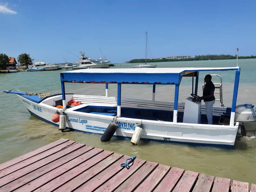 Falmouth: Luminous Lagoon Boat Tour - Timing, Comfort, and What to Bring