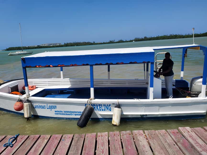 Falmouth: Luminous Lagoon Boat Tour - Who Will Enjoy This Short Night Tour