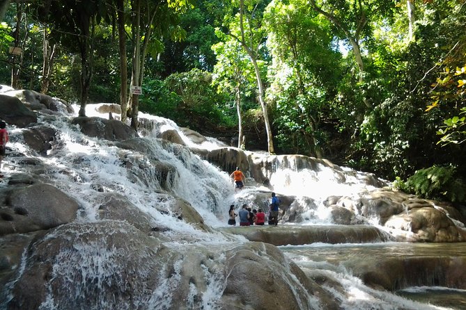 Falmouth Shore Excursion Dunn's River Falls - Key points to know before booking