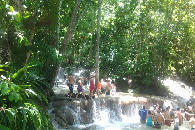 Falmouth Shore Excursion Dunn's River Falls - Who will enjoy this outing most