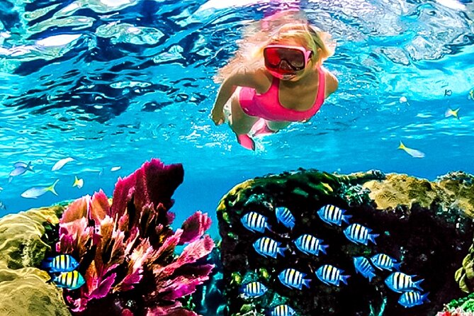 Family Fun-Snorkeling with Lunch Stop from Montego Bay - A quick route from Montego Bay to the reef