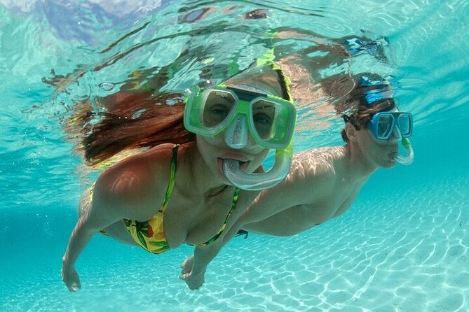 Family Fun-Snorkeling with Lunch Stop from Montego Bay - Timing, weather, and the practical details