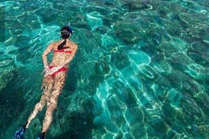 Family Fun-Snorkeling with Lunch Stop from Montego Bay - Who will enjoy this Montego Bay snorkeling trip
