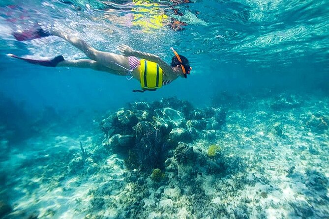 Family Fun-Snorkeling with Lunch Stop from Montego Bay - Should you book it?