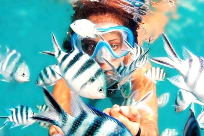 Family Fun-Snorkeling with Lunch Stop from Montego Bay - Boarding the speedboat and getting ready