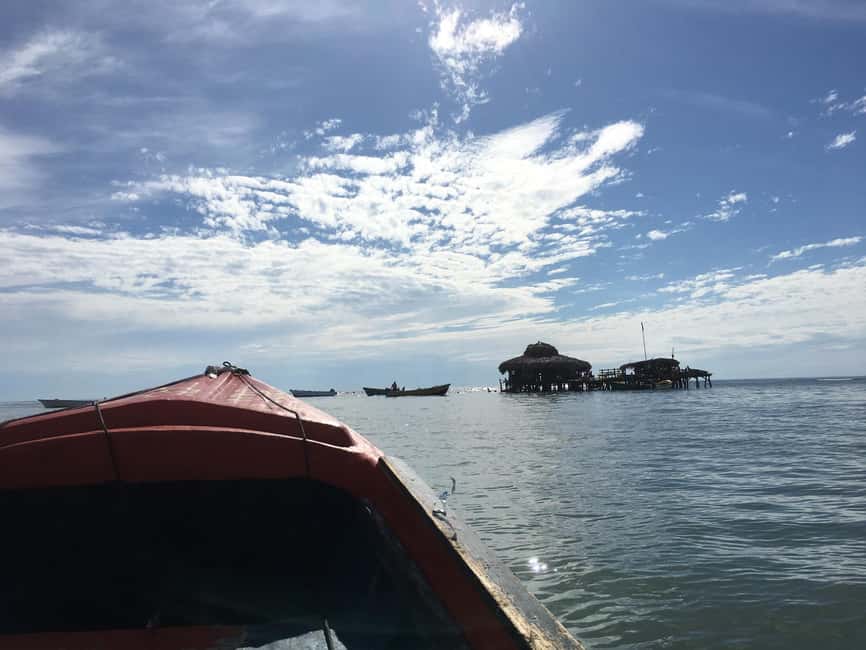 Floyd’s Pelican Bar, Ys Falls and Black River Safari Tour - Key points to know before you book