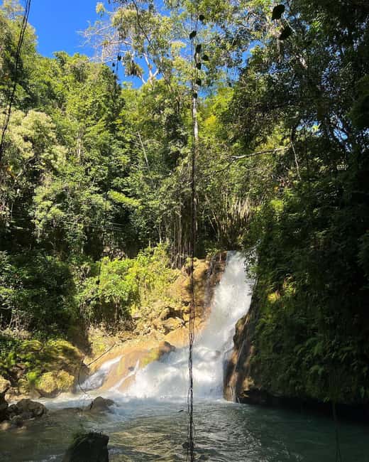 Floyd’s Pelican Bar, Ys Falls and Black River Safari Tour - Who should book this experience?