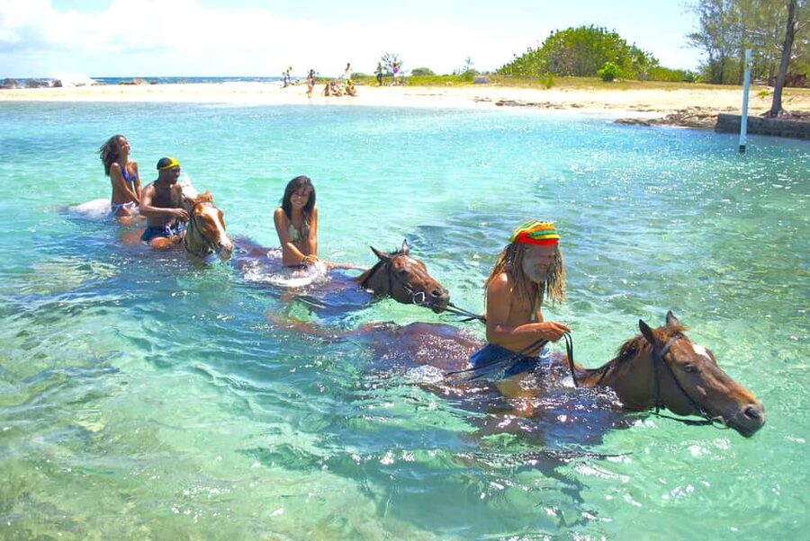 From Falmouth: Horseback Ride and Swim Beach Trip - From Falmouth to Sand N Saddle Beach