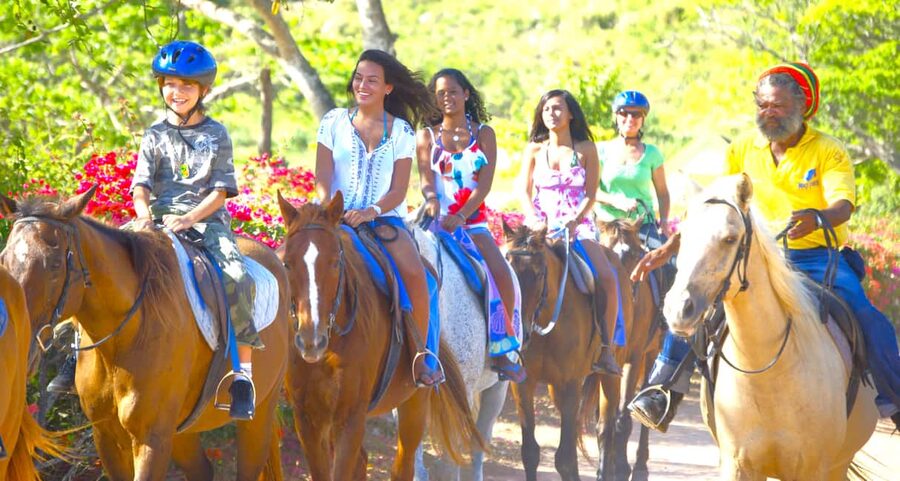 From Falmouth: Horseback Ride and Swim Beach Trip - Swimming With the Horse
