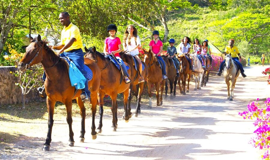 From Falmouth: Horseback Ride and Swim Beach Trip - The Lunch Stop Adds Local Flavor, at Extra Cost
