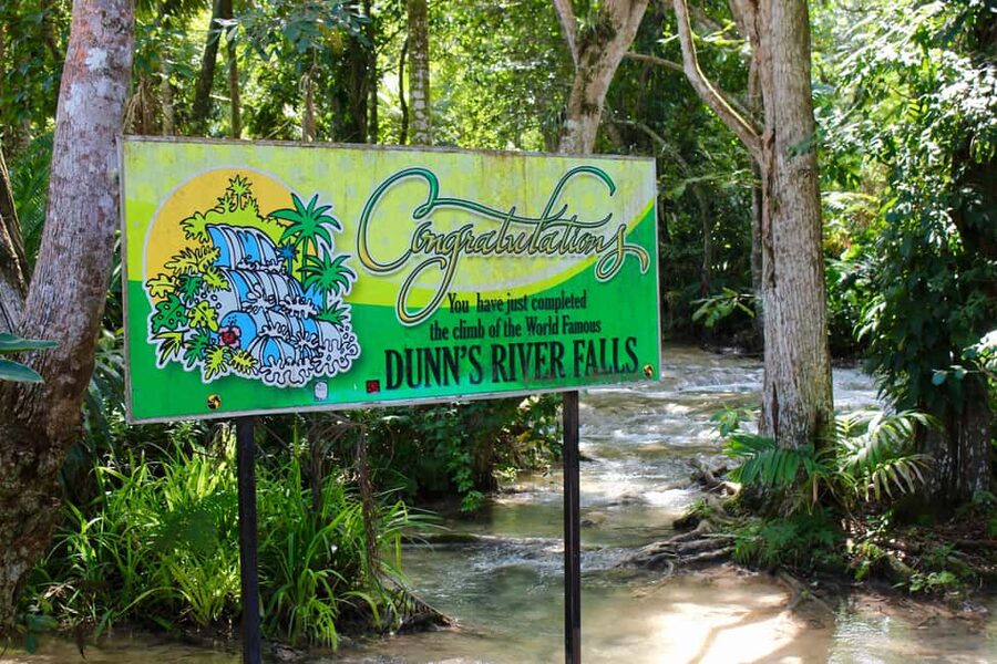 From Montego Bay: Dunn’s River Falls Experience - Why the private option can be worth $135