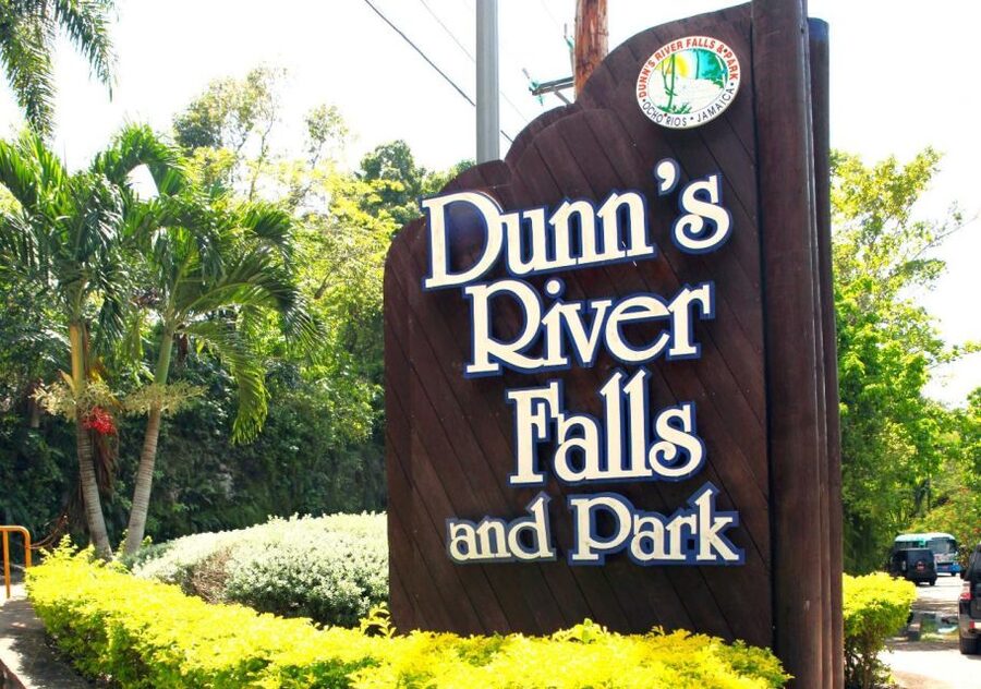 From Montego Bay: Dunn’s River Falls Experience - Tips for making the day run smoothly