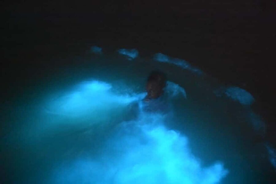 From Montego Bay: Luminous Lagoon Night Tour - Boarding the boat after sunset
