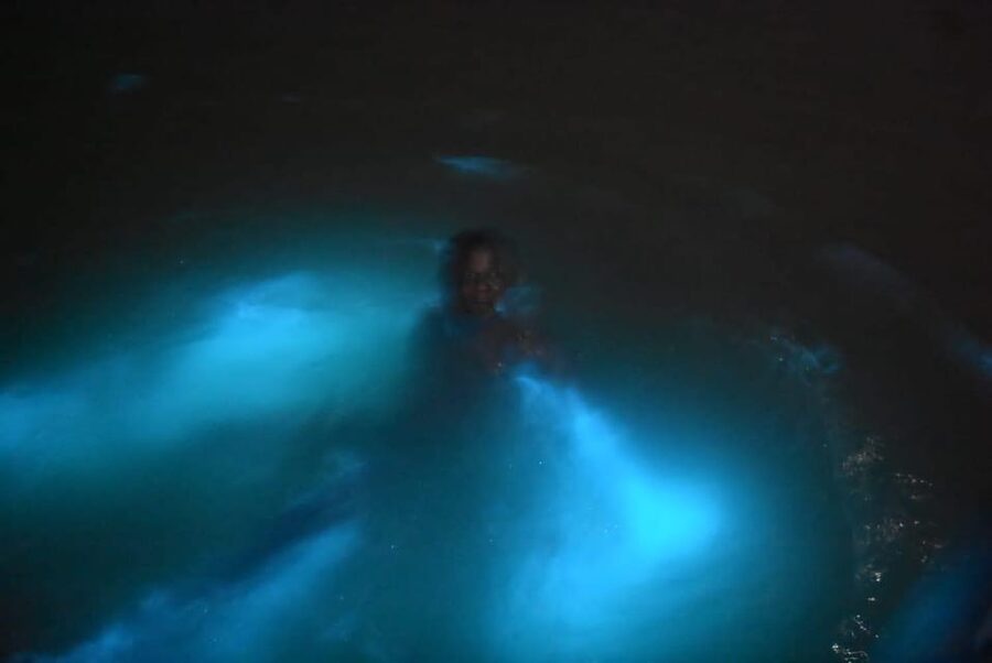 From Montego Bay: Luminous Lagoon Night Tour - Who will enjoy this night tour