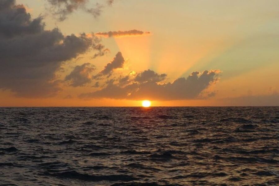 From Montego Bay: Negril Beach and Rick's Café Day Trip - How the five-hour schedule works