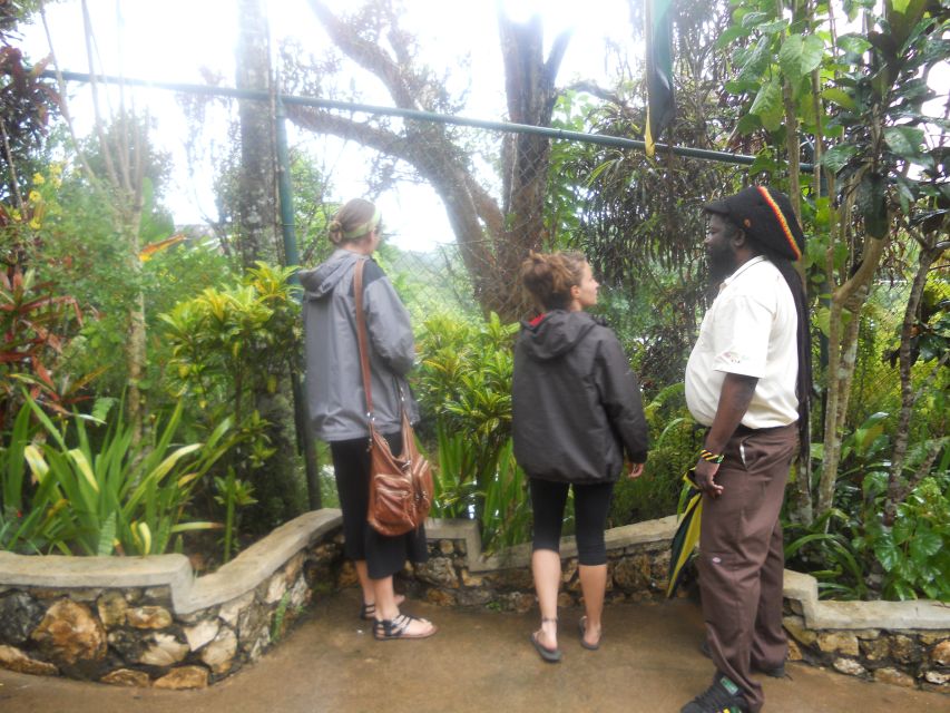 From Ocho Rios: Bob Marley & Dunn’s River Falls 6/7Hour Tour - Practical details that save trouble