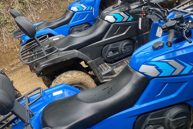Full Day ATV Bush Trail and Water Sports Tour with Rick's Cafe - Does $145 Offer Fair Value?