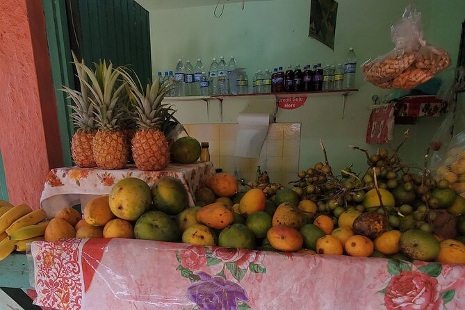 Full-Day Guided Tour to Dunns River Falls & shopping with lunch - Guided stops add some Jamaican context