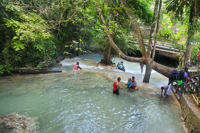 Full-Day Guided Tour to Dunns River Falls & shopping with lunch - Who will get the most from this tour