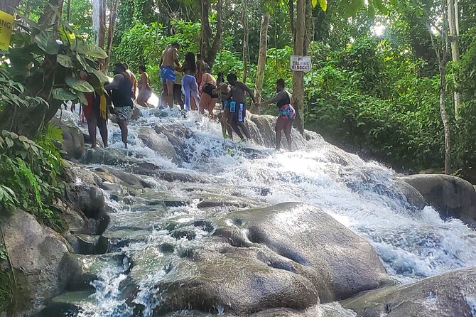 Full-Day Guided Tour to Dunns River Falls & shopping with lunch - Booking, weather, and cancellation details