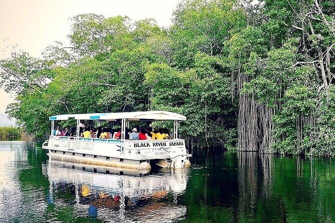 Full-Day South Coast - YS Falls, Pelican Bar & Black River Safari - Why This South Coast Combination Works