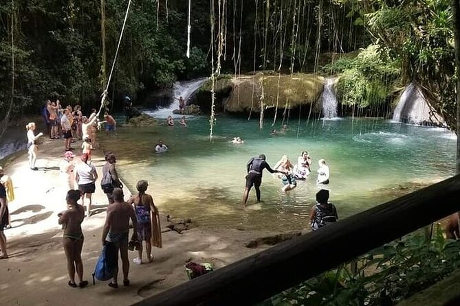 Full-Day South Coast - YS Falls, Pelican Bar & Black River Safari - Black River Safari Through Mangroves