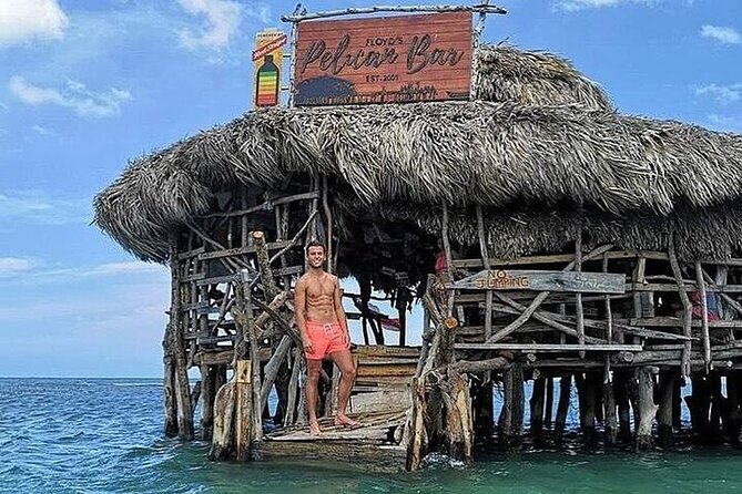 Full-Day South Coast - YS Falls, Pelican Bar & Black River Safari - Is $250.99 a Fair Price?