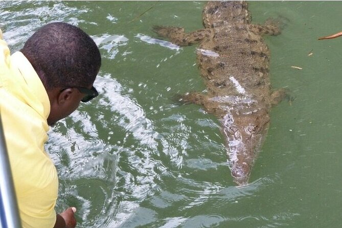 Full-Day South Coast - YS Falls, Pelican Bar & Black River Safari - YS Falls: Seven Levels of Fresh Water