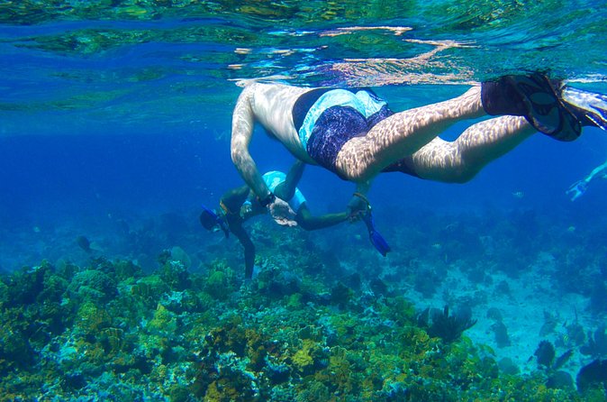 Glass Bottom Boat Ride/Snorkeling/Booby Cay Island from Negril - The captains and the style of guiding