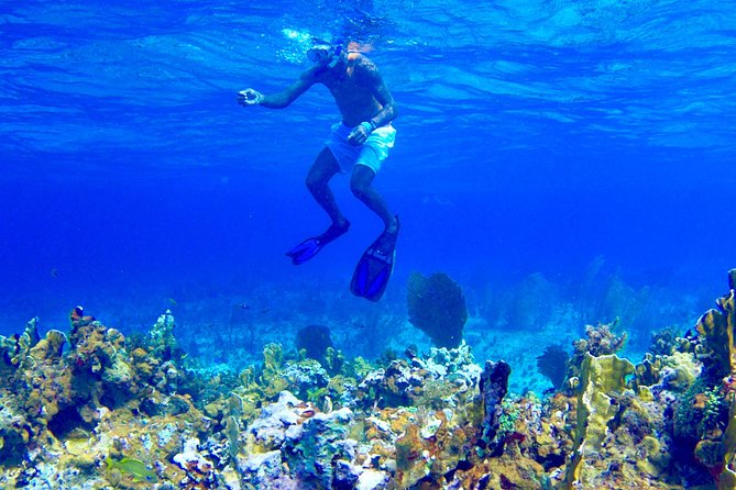 Glass Bottom Boat Ride/Snorkeling/Booby Cay Island from Negril - The boat ride along Negril’s coast