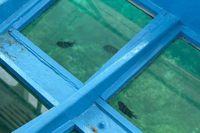 Glass bottom Boat Tour and Snorkeling Experience in Montego Bay - Private Transport Makes a Short Tour Easier