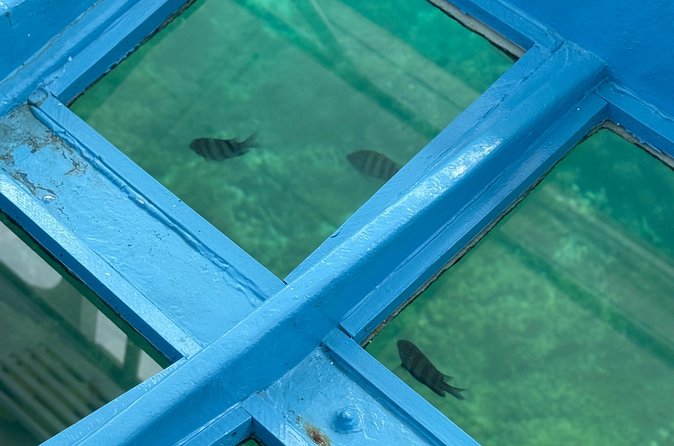 Glass bottom Boat Tour and Snorkeling Experience in Montego Bay - Who Will Enjoy This Experience Most?