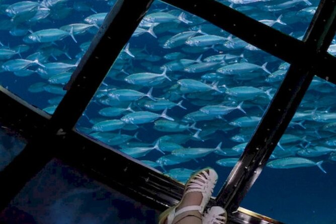 Glass Bottom Boat Water Activity in Montego Bay Jamaica - Why the private transport matters