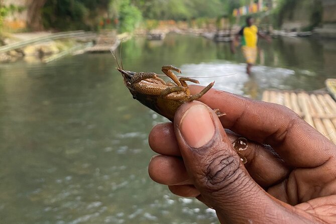 Great River Rafting - Limestone Foot Massage and ATV Rides From Montego Bay - Practical planning before you book
