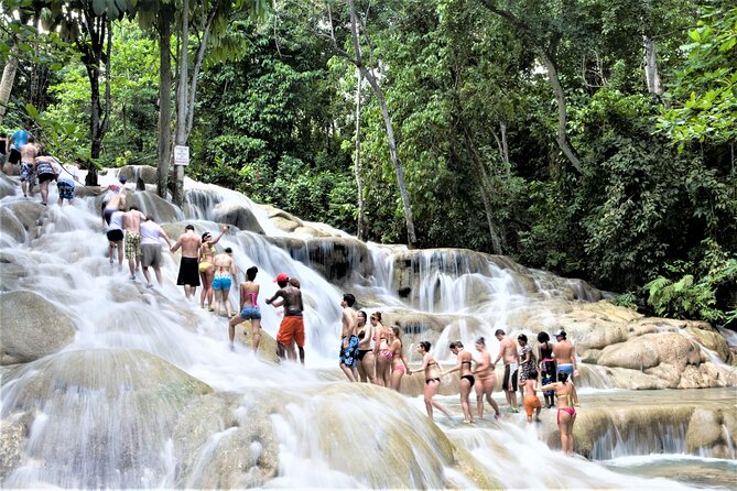 Green Grotto Caves and Dunn's River Falls Guided Tour with Admission - What your guide adds to the long drive