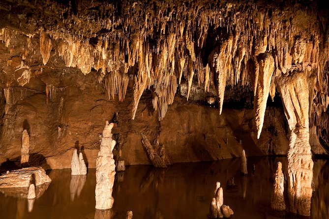 Green Grotto Caves Excursion from Ocho Rios - What you see underground