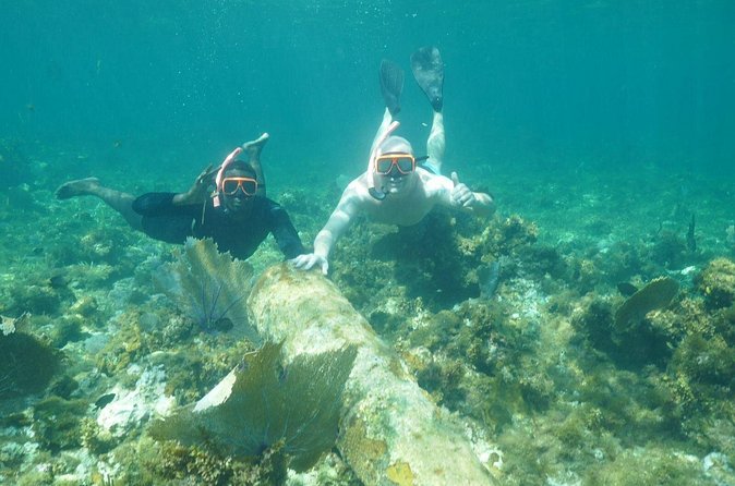 Guided Snorkeling at the Anchor and Cannon Reef in Negril - A Coastal Return With Time to Catch Your Breath