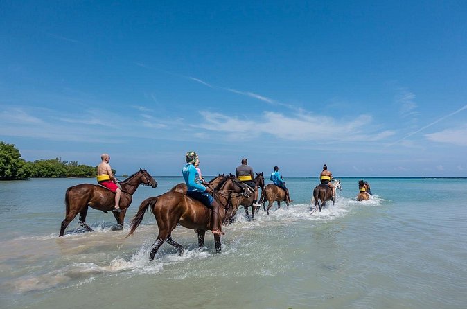 Half day Horse Back Riding and Bamboo Rafting Experience from Ocho Rios - Who will enjoy this half-day outing?