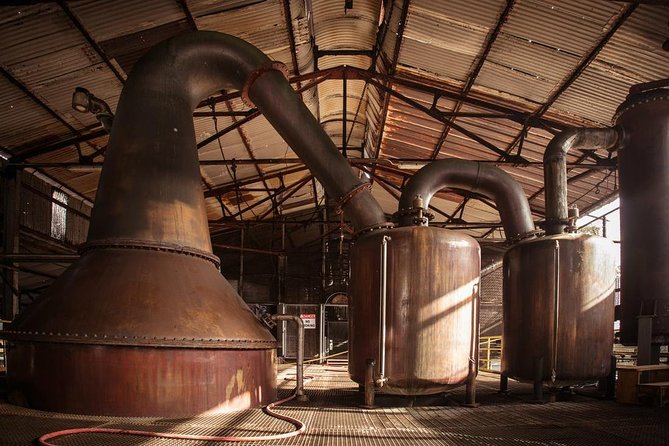 Hampden Estate Rum Tour and Lunch from Falmouth - Why Hampden Estate makes a strong half-day outing