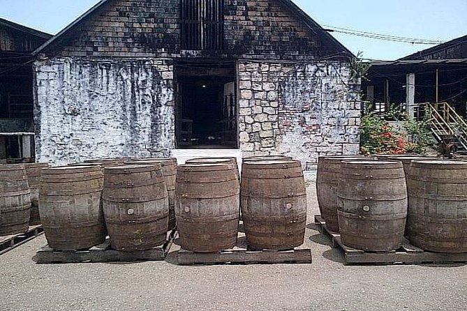 Hampden Estate Rum Tour and Lunch from Falmouth - The road, the rules, and the pace