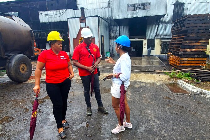 Hampden Estate Rum Tour and Lunch from Montego Bay - Who will enjoy this Hampden outing most