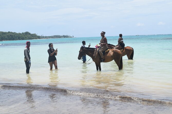 Horse Back Riding and Blue Hole From Montego Bay - Why this tour works as a Jamaica day out
