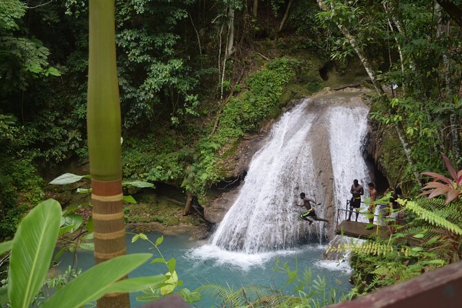 Horse Back Riding and Blue Hole From Montego Bay - Horseback riding to the beach and into the sea