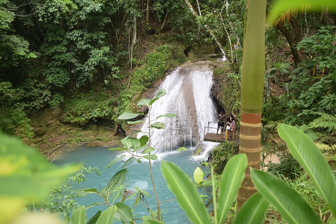 Horse Back Riding and Blue Hole From Montego Bay - Should you book Horse Back Riding and Blue Hole from Montego Bay?